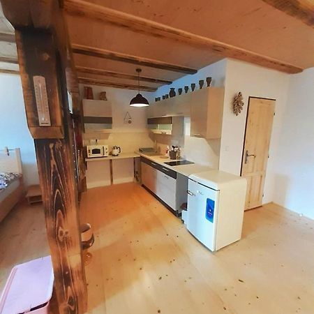 Chalupa Pod Menhiry Volary Eksteriør bilde